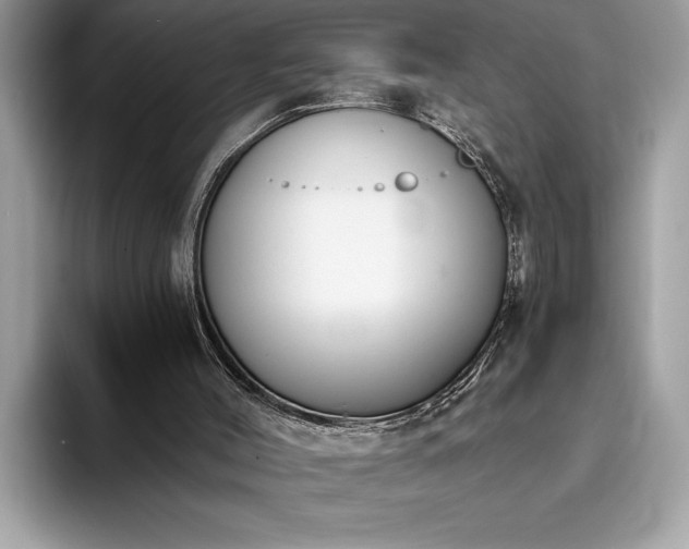 X0000093620004200710221555