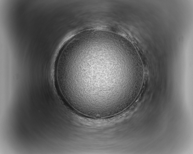 X0000093620006200710221555