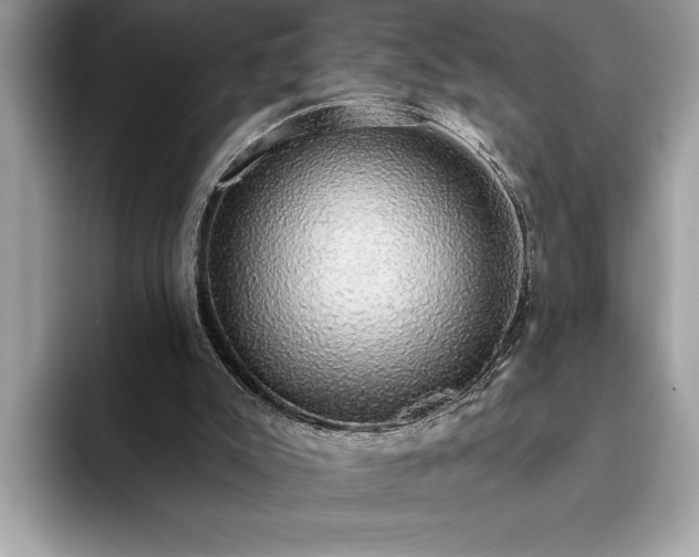 X0000093620007200710221555
