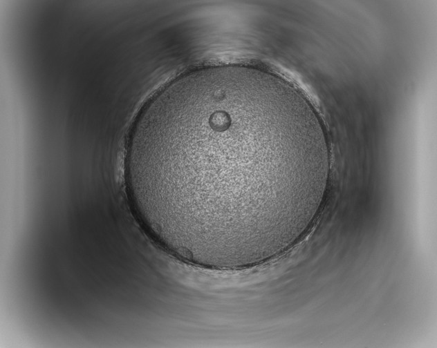 X0000093620010200710221555