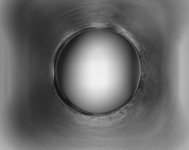 X0000093620011200710221555