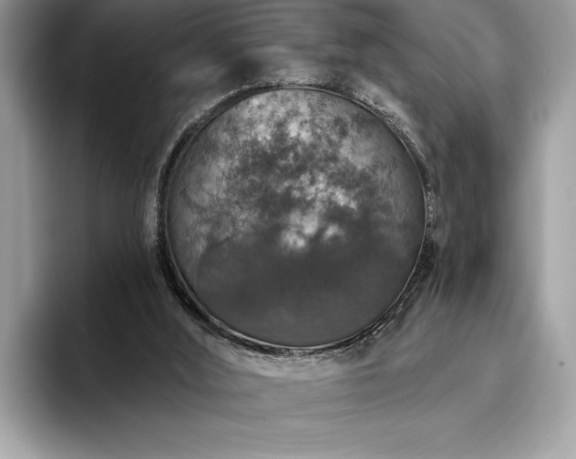 X0000093620012200710221555