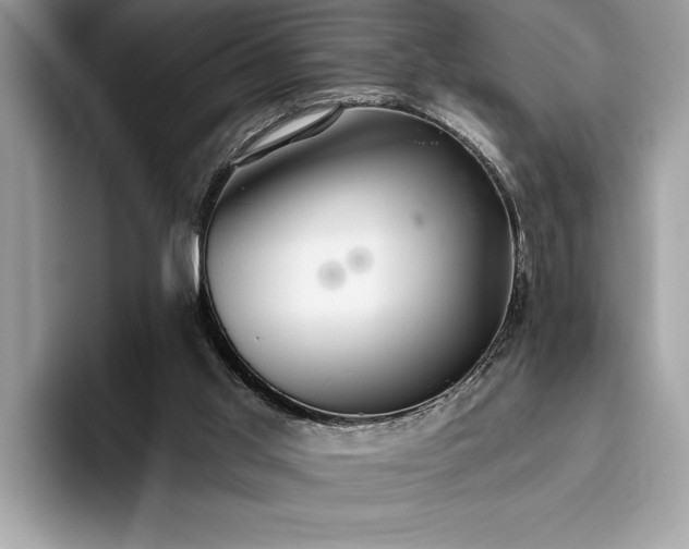 X0000093620013200710221555