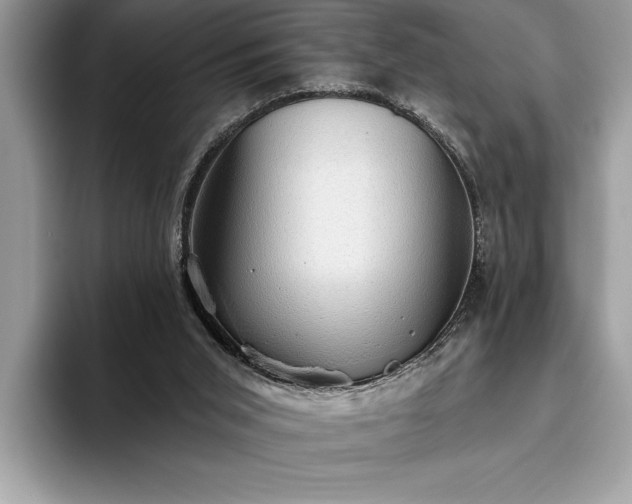 X0000093620015200710221555