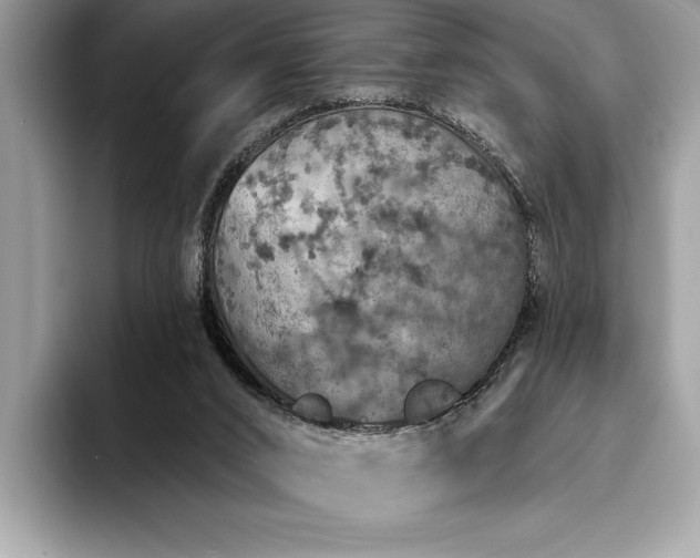 X0000093620016200710221555