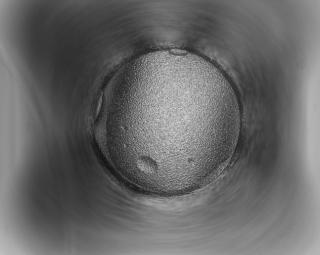 X0000093620017200710221555