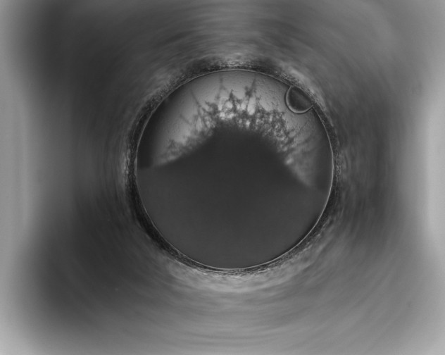 X0000093620018200710221555