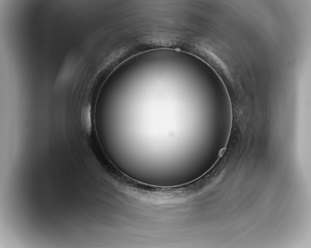 X0000093620020200710221555