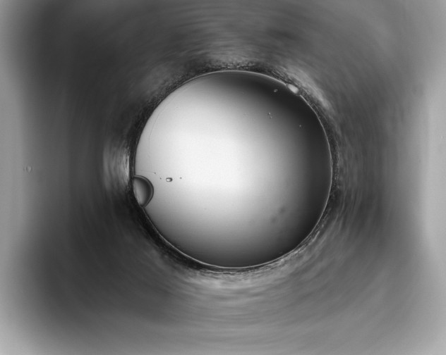X0000093620021200710221555