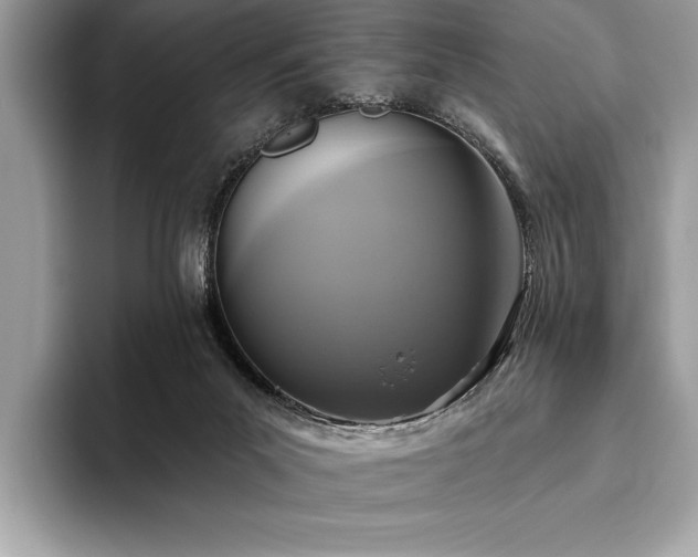 X0000093620023200710221555