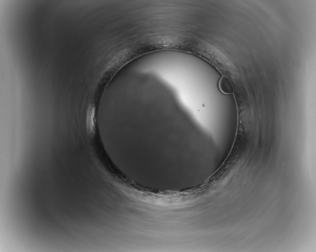 X0000093620024200710221555