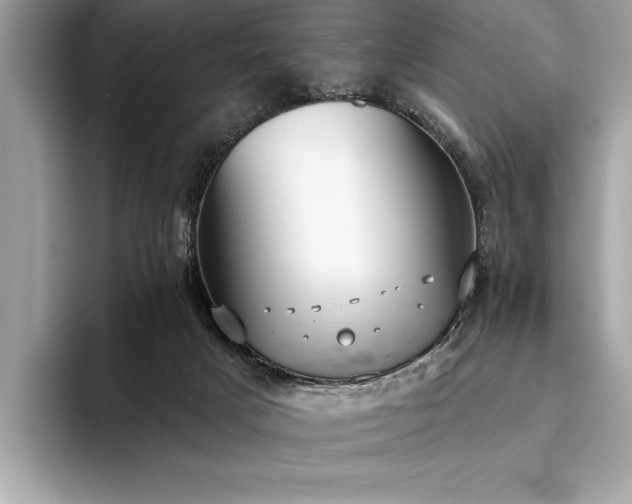 X0000093620025200710221554