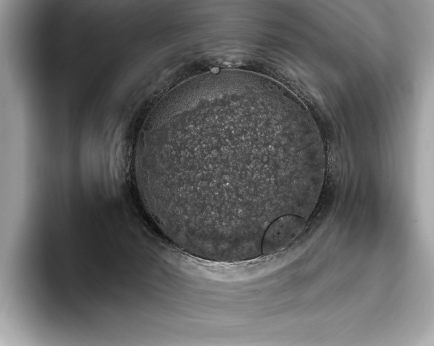 X0000093620030200710221554