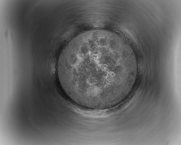 X0000093620032200710221554