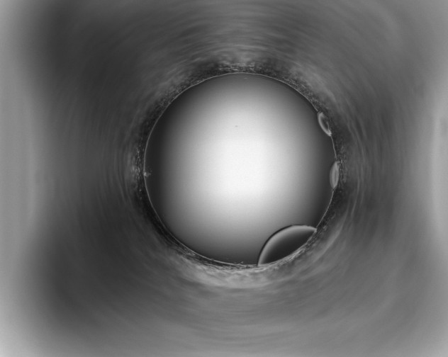 X0000093620040200710221554