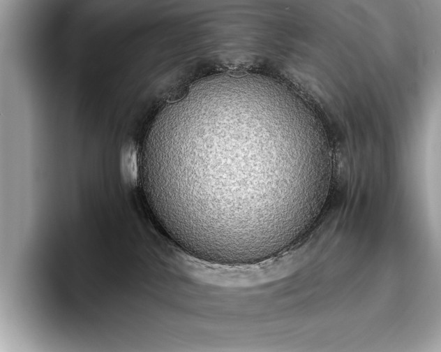 X0000093620042200710221554