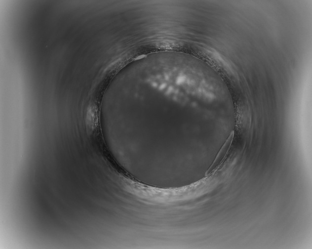 X0000093620043200710221554