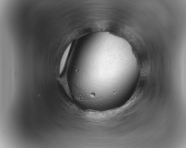 X0000093620045200710221554