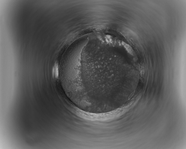 X0000093620046200710221554