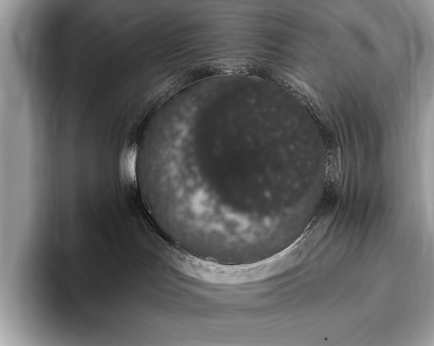X0000093620047200710221554
