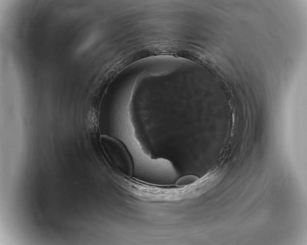 X0000093620048200710221554