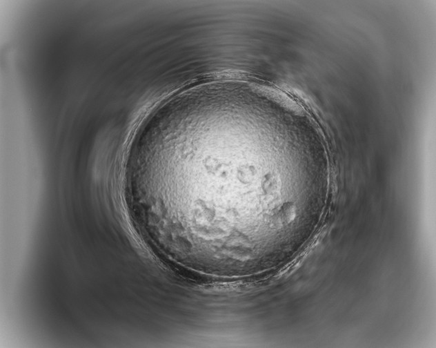 X0000093620049200710221554