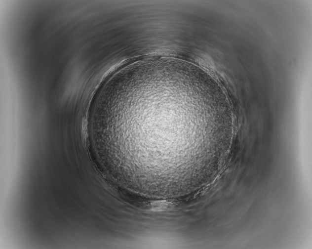 X0000093620050200710221554