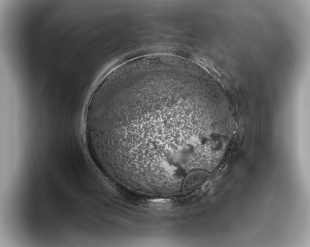 X0000093620053200710221554