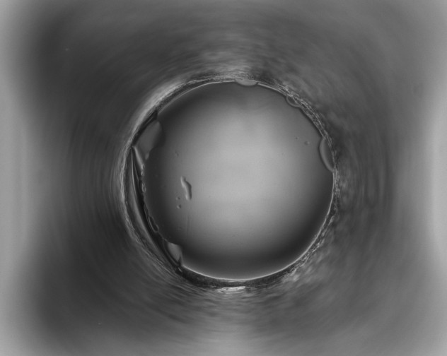 X0000093620054200710221554