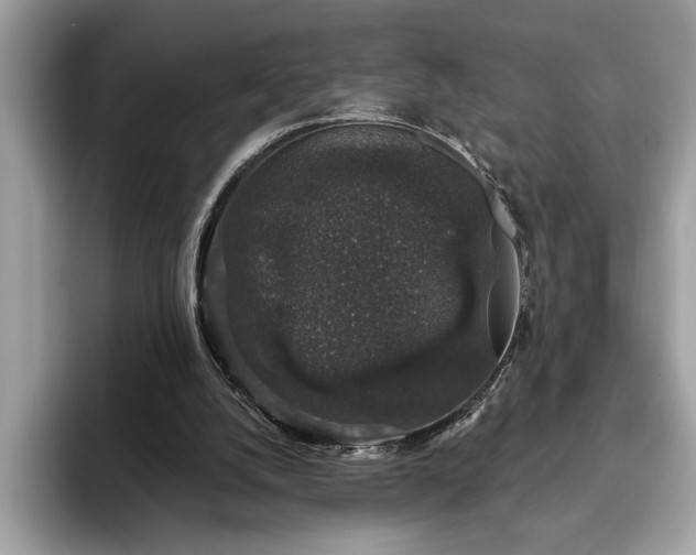 X0000093620056200710221554