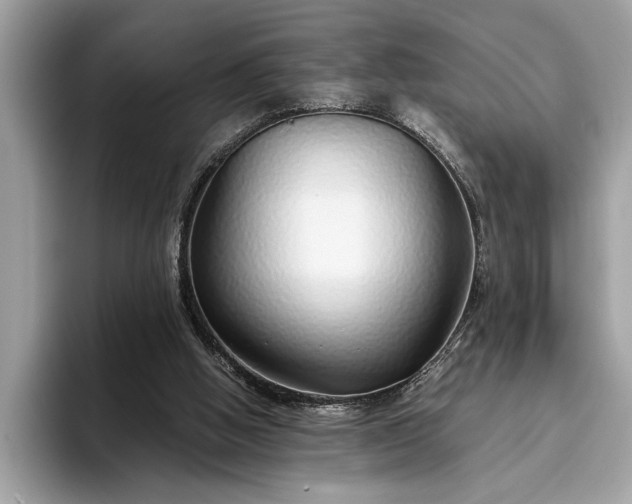 X0000093620058200710221554
