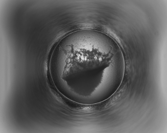 X0000093620059200710221554