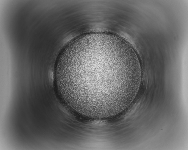 X0000093620063200710221554