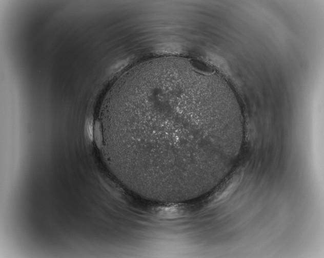 X0000093620068200710221554