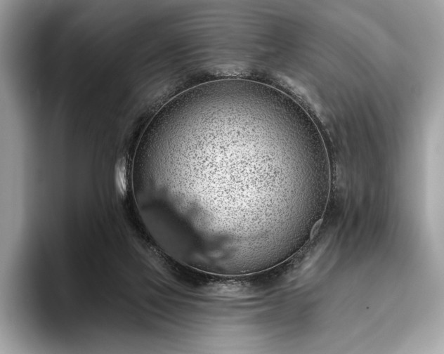 X0000093620069200710221554