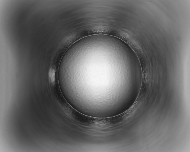 X0000093620070200710221554