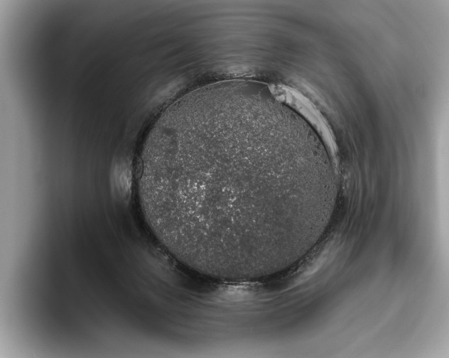 X0000093620072200710221554