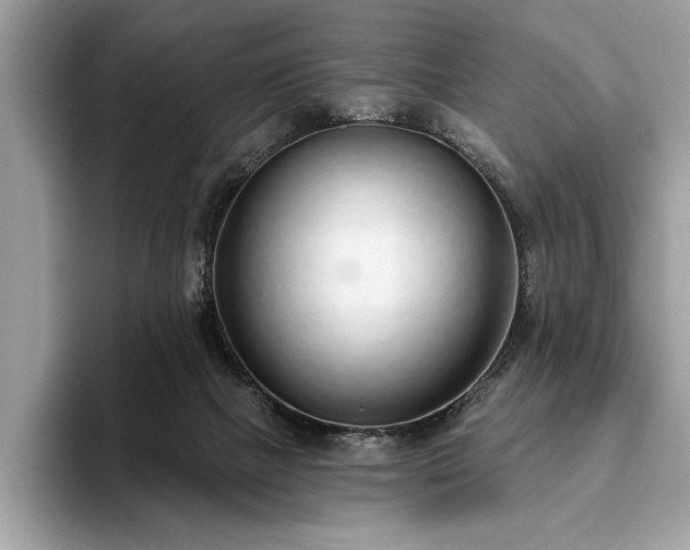 X0000093620073200710221554