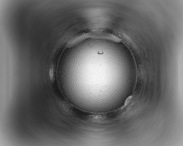 X0000093620074200710221554