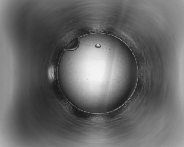 X0000093620075200710221554
