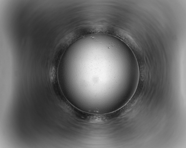 X0000093620077200710221554