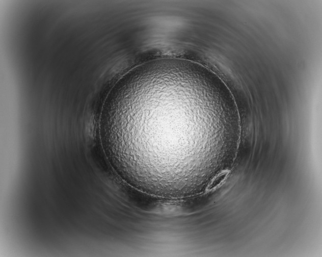 X0000093620078200710221554