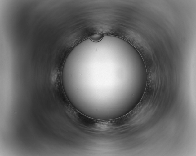 X0000093620079200710221554