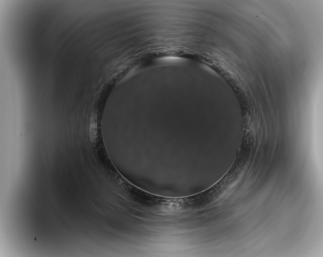 X0000093620080200710221554