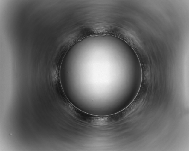 X0000093620081200710221554