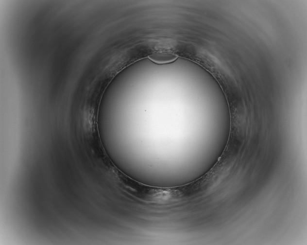 X0000093620083200710221554