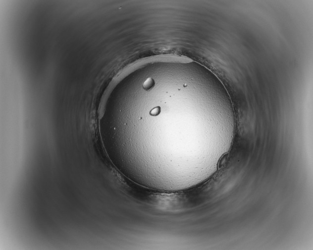 X0000093620085200710221554