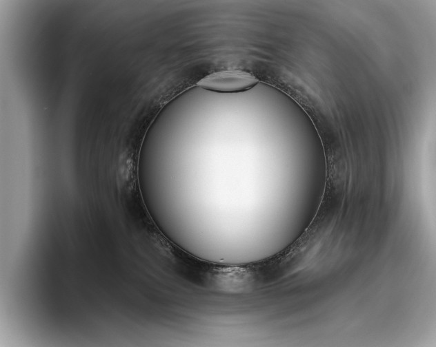 X0000093620087200710221554
