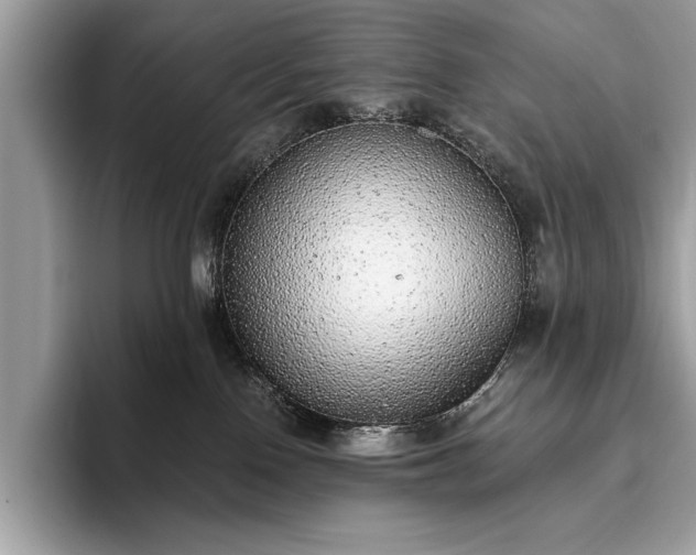 X0000093620090200710221554