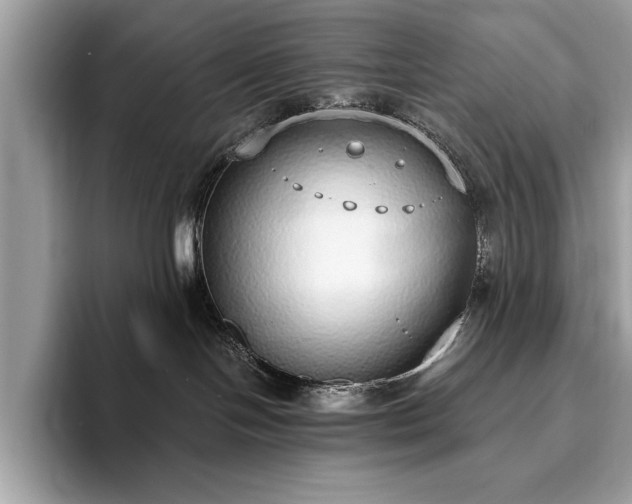 X0000093620094200710221554